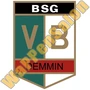Thumb Bsg Vb Demmin