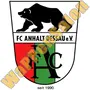 Thumb Fc Anhalt Dessau   1990 2004