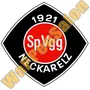 SpVgg. Neckarelz 1921