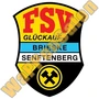 Thumb Fsv Glückauf Brieske Senftenberg