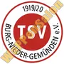 Thumb Tsv Burg Nieder Gemünden