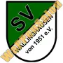 SV Wallinghausen 1951