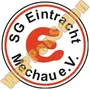 Thumb Sg Eintracht Mechau