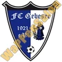 Thumb Fc Gebesee 1921