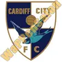 Thumb Fc Cardiff City   Spaete 60er